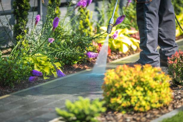 Best Driveway Pressure Washing  in Fairhope, AL
